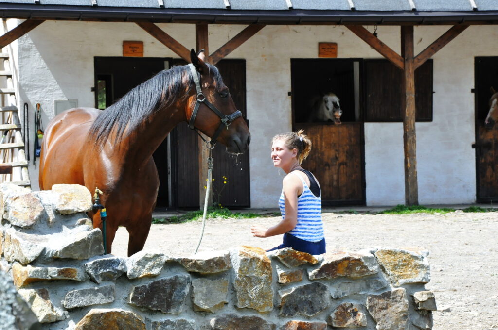 jazda konna , Bieszczady w siodle, ABC konia